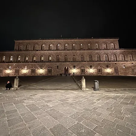 Luxurious View On Pitti Palace