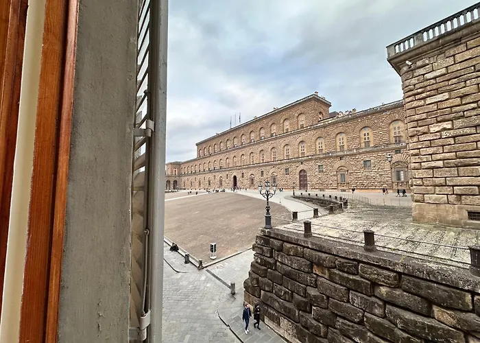 Luxurious View On Pitti Palace 公寓 佛罗伦萨