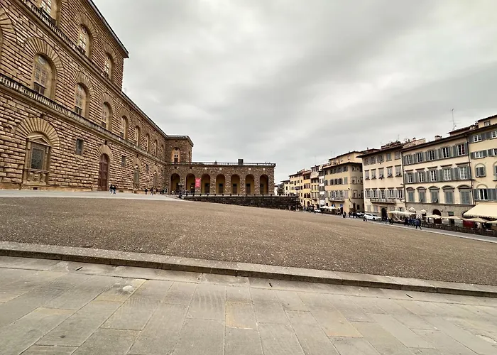 Luxurious View On Pitti Palace 公寓 佛罗伦萨