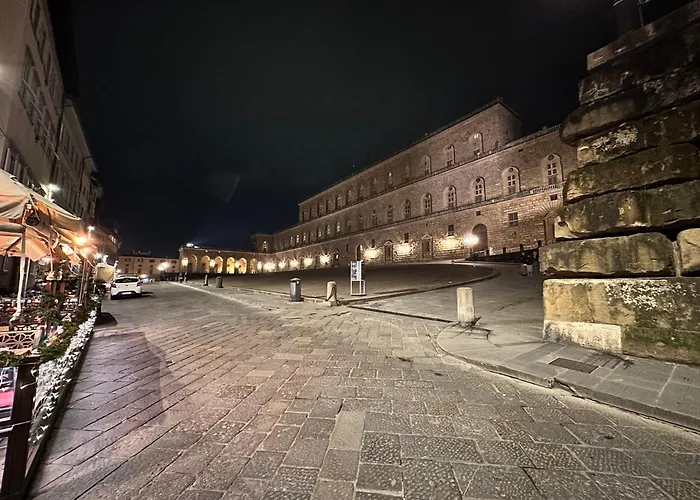 公寓 Luxurious View On Pitti Palace