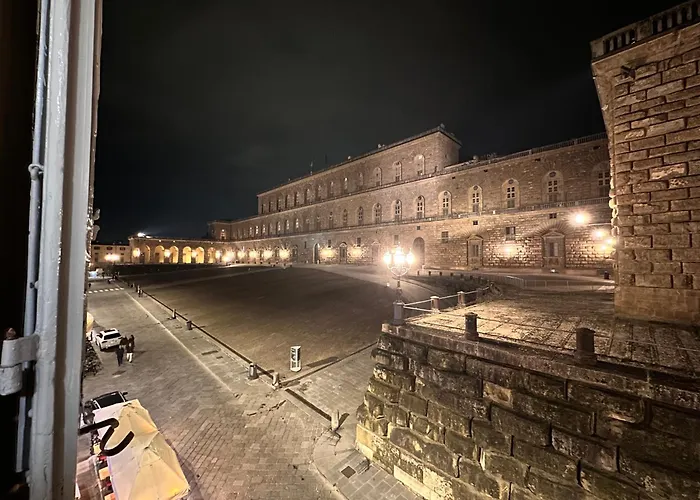 Luxurious View On Pitti Palace 公寓 佛罗伦萨