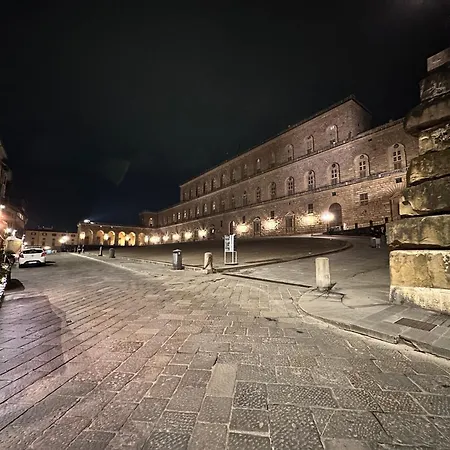 Apartment Luxurious View On Pitti Palace