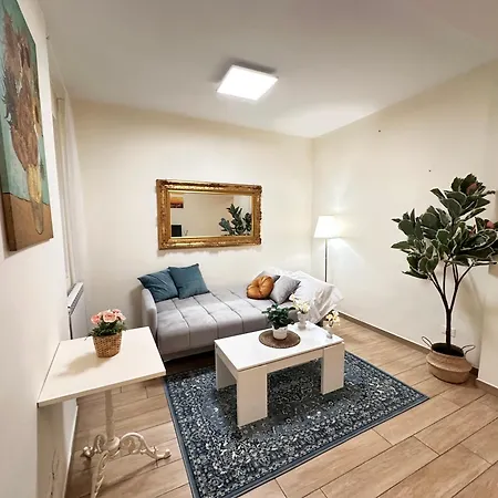 Luxurious View On Pitti Palace Apartment Florence